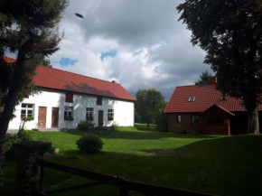 Łabądkowo, Łabędzie